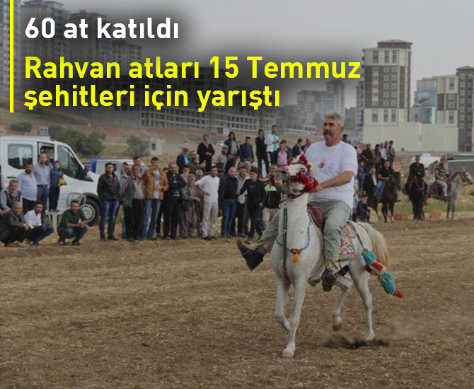 Rahvan atları 15 Temmuz şehitleri için yarıştı