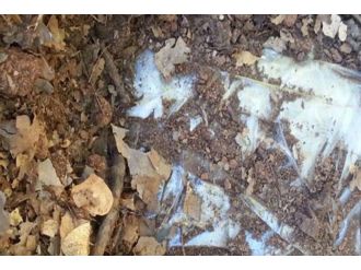 Muş’ta PKK’ya ait 18 sığınak ve 3 depo imha edildi