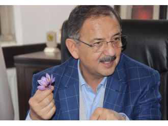 "Sırtımızı Kandil’e değil  halka ve Hakk’a dayadık"