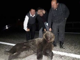 Telef olan ayıyla fotoğraf çektiler