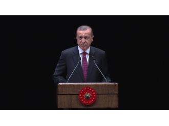 "Amaçları çevre değil, Türkiye’nin büyümesini engellemek"