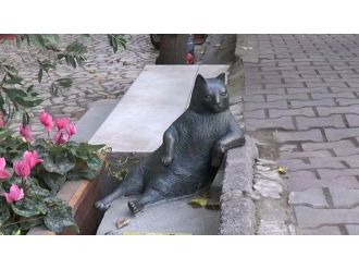 Tombili’nin heykeli çalındı