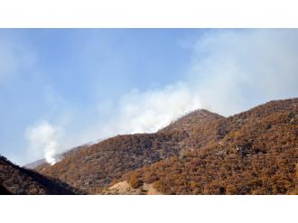 PKK’ya son 20 yılın en büyük darbesi