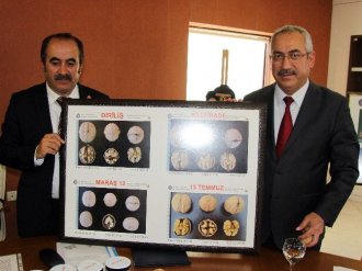 Türkiye’nin ilk melez cevizine "15 Temmuz" adı verildi