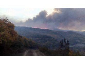 Balıkesir alev alev