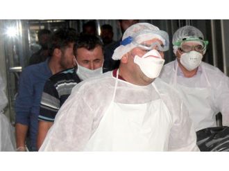 Denizli’de 4 ilçede kuduz alarmı