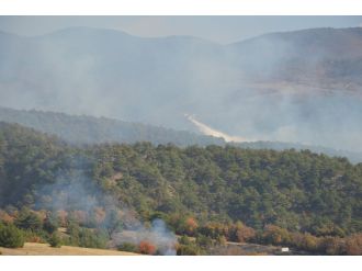 Tokat’ta orman yangını