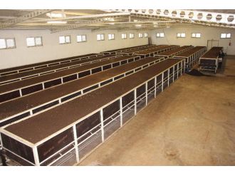 150 milyon solucanla, 500 ton organik gübre üretiyor