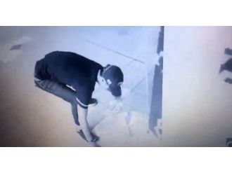 Arıza yapan ATM para saçtı