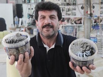 Bu koleksiyon duyarlılık sonucu ortaya çıktı