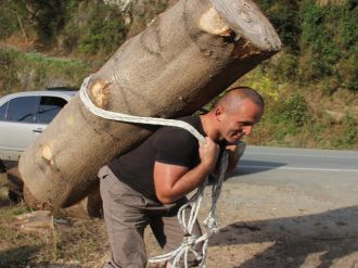203 kilogramlık kütüğü sırtında taşıdı