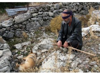 Görme engelli adamın köpeğini zehirlediler