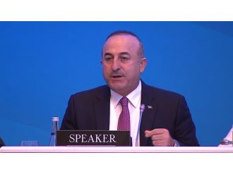 Bakan Çavuşoğlu’ndan Ermeni vekile tokat gibi DEAŞ cevabı