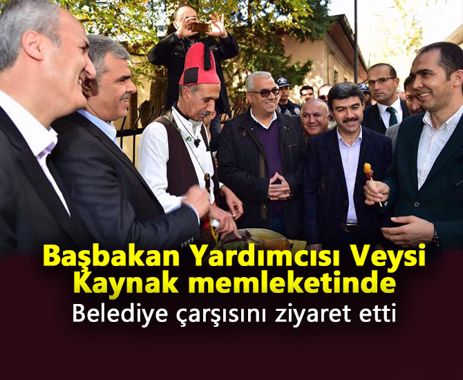Başbakan Yardımcısı Veysi Kaynak memleketinde