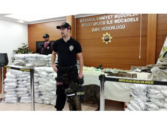 Lüks rezidansa operasyon: 10 milyonluk uyuşturucu !