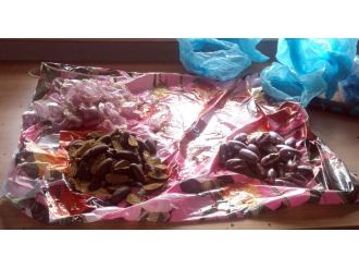 Havalimanında uyuşturucu operasyonu: Midelerinden çıktı