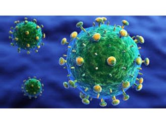 ’H5N8’ Almanya’da hızla yyılıyor