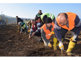 Türkiye’nin ilk ‘ısırgan otu tarlası’
