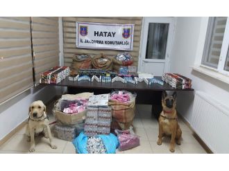 Hatay’da 1 milyonluk kaçak uyarıcı hap ele geçirildi