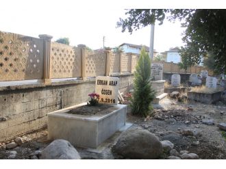 Ölen kedisini mezarlığa gömüp, mezar taşı yaptırdı