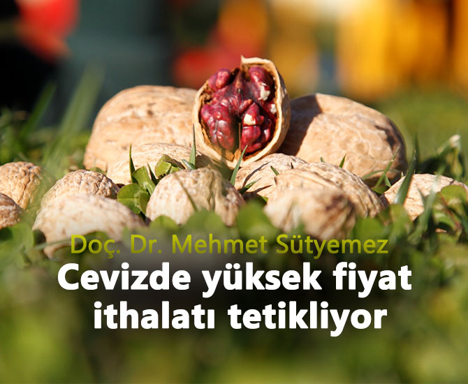 Cevizde yüksek fiyat ithalatı tetikliyor