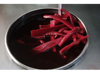 Her şey şalgam için