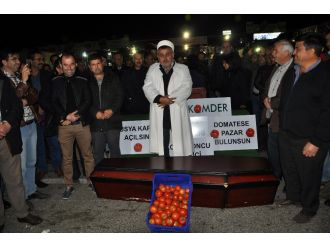 Çiftçiler domatesin cenazesini kaldırdı