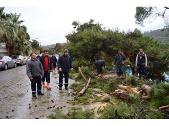 Ortalık savaş alanına döndü