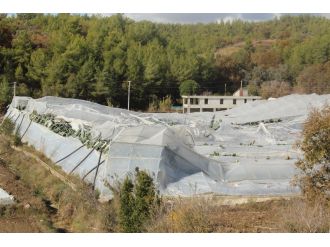 Gürültüye uyandılar: Gördükleri manzara şoke etti