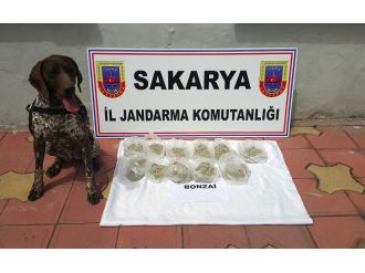 Ada çayına sinek ilacı sıkıp ‘Bonzai’ diye satmışlar