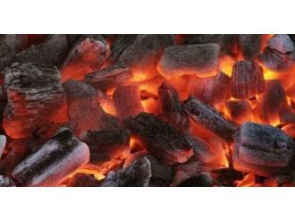 Karbonmonoksit gazından zehirlenen yaşlı çift öldü