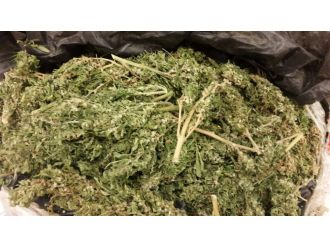 İstanbul’da uyuşturucu operasyonu