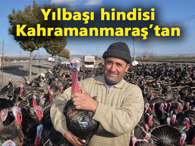 Yılbaşı hindisi Kahramanmaraş’tan