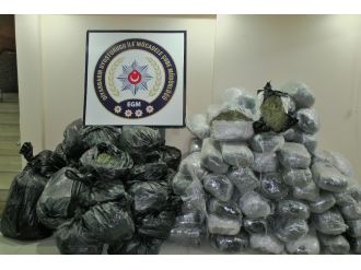 Terk edilmiş minibüsten 545 kilo esrar çıktı