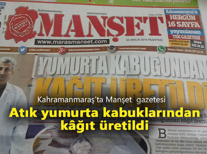 Atık yumurta kabuklarından kâğıt üretildi