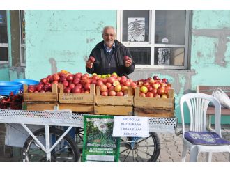 Kocaman yürekli destek