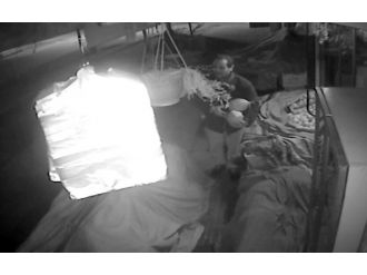 Bu da kavun hırsızı