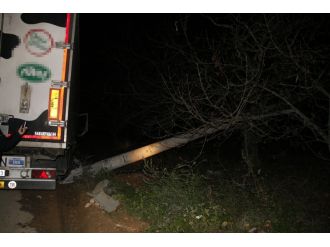 Direği deviren TIR ilçeyi elektriksiz bırkatı