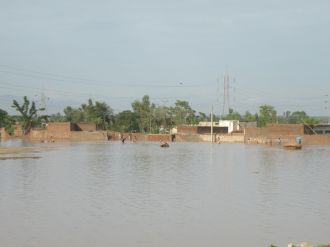 Tayland’da sel: 14 ölü