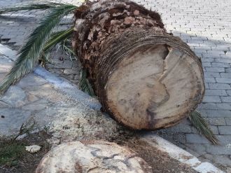 Şimdi de İzmir’e dadandılar