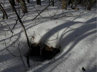 Terör örgütünün 2 sığınağı imha edildi