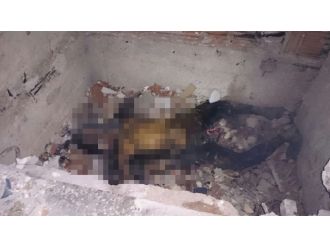 İstanbul’da bulunan yanmış cesedin kimliği belirlendi