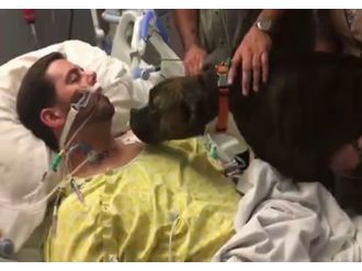 Sadık dost sahibine böyle veda etti