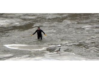 Eksi 20 derecede ördek kaçtı dalgıç kovaladı