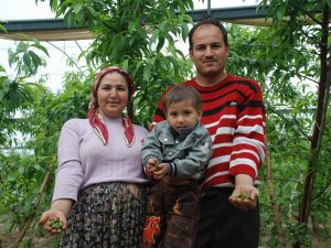 Nektarin Çağlasının Kilosu 60 Tl