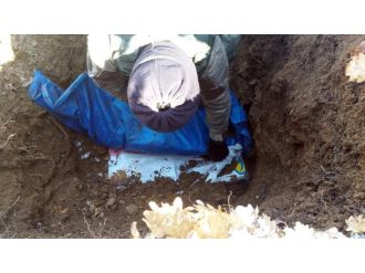 Siirt’te terör örgütüne ait mühimmat ele geçirildi