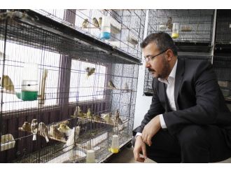 Ağır ceza avukatının kuş sevgisi