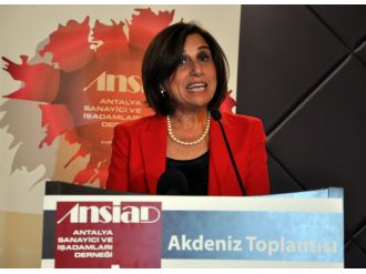 "Avrupa ekonomisinin sağlıklı yapıya kavuşması Türkiye için önemli"