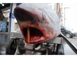 Bu kare Diyarbakır’da çekildi