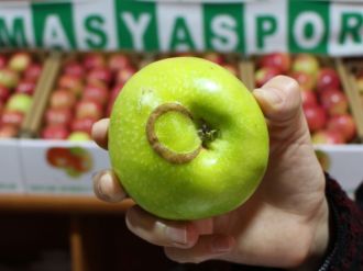 Ay-yıldızlı elma görenleri şaşırttı
